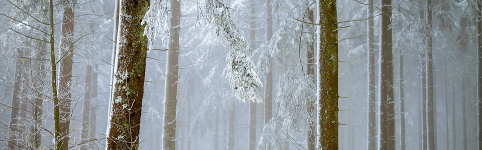 氧化镁板厂家 氧化镁板厂家